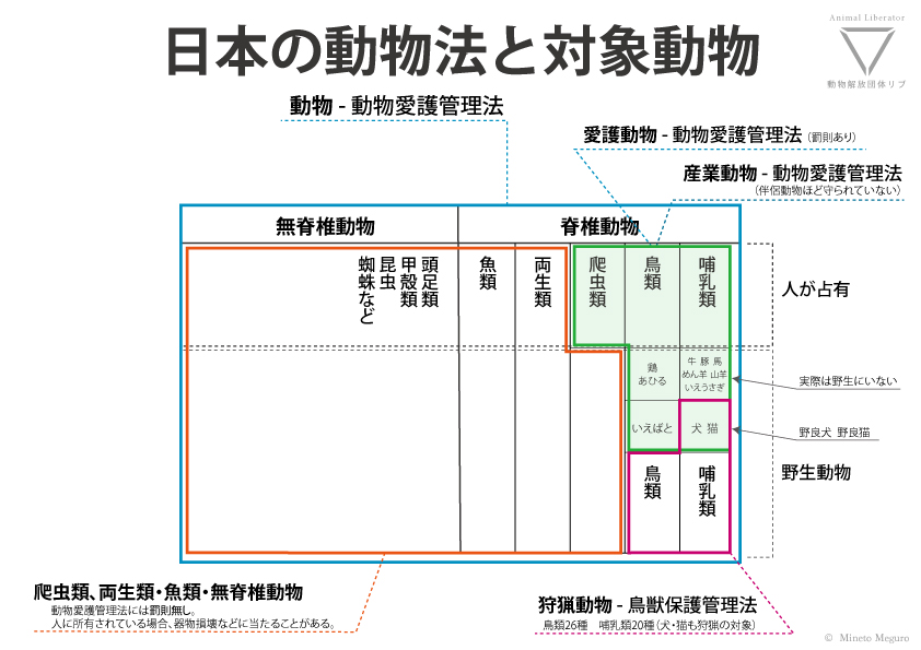 日本の動物法と対象動物について図解