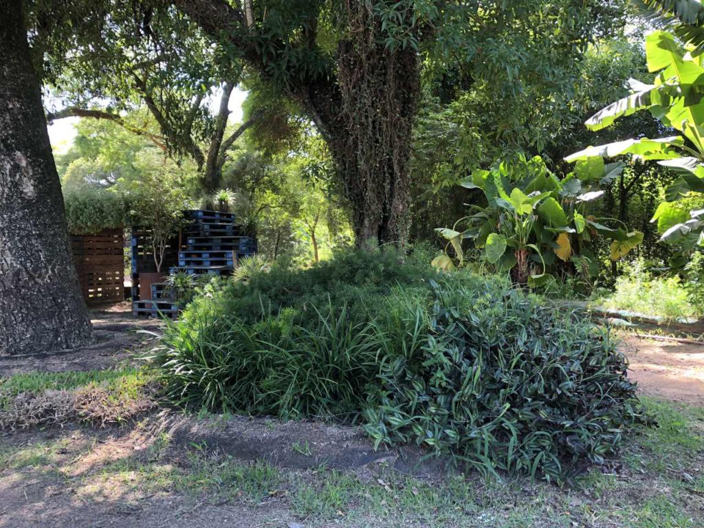 terreno com plantas, árvores e muros de contenção