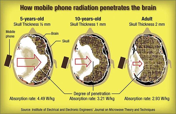 C:-Users-aaa-Downloads-Journals-CFC-6-radiation-penetrates-brain.jpg