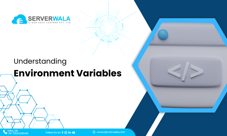 Understanding Environment Variables