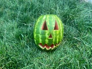 A watermelon carved into a face on grass

Description automatically generated