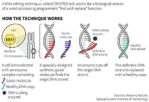 CRISPR Technique and its Application |