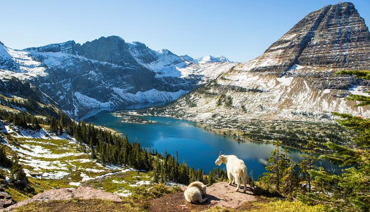 Tips for a Successful Glacier National Park Trip