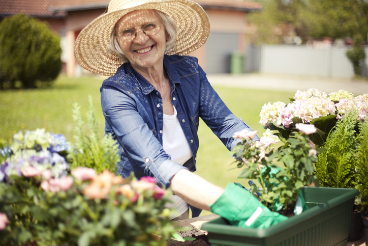 Senior female wearing a wide brim hat while gardening in the sun