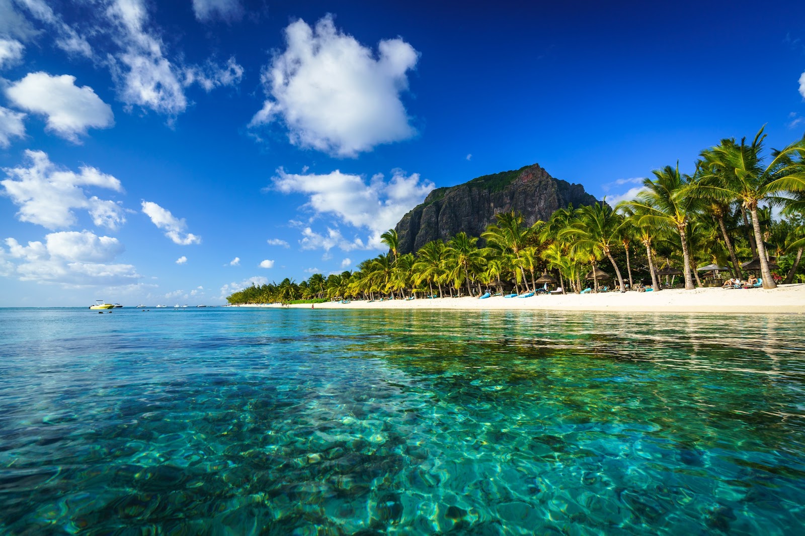 Crystal-clear water with lush palm trees gently swaying in the breeze.