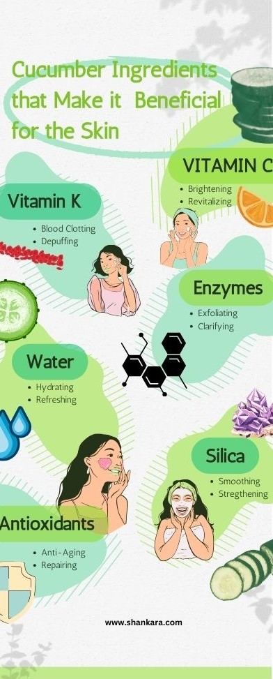 Infographic on cucumber ingredients that make it beneficial for the skin