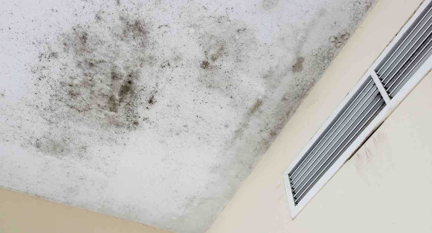 how to get mold off bathroom ceiling