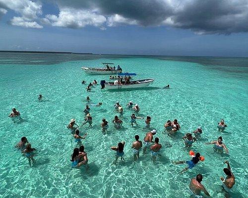 THE 10 BEST Isla Saona Tours & Excursions for 2024 (with Prices)