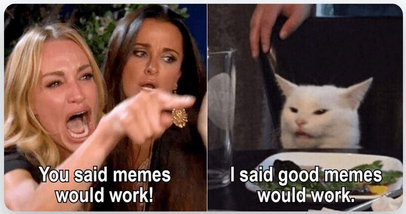 A person pointing at a cat
Description automatically generated
