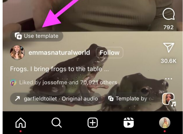 How to Find Templates on Instagram