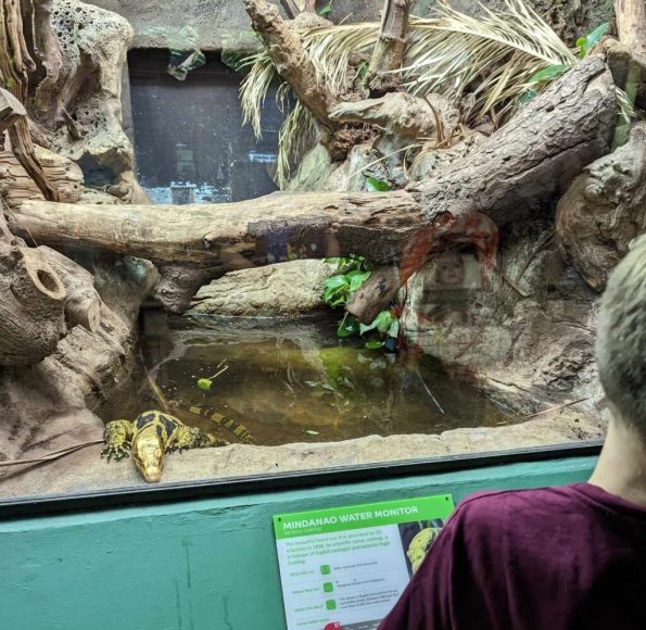 reptile house london zoo