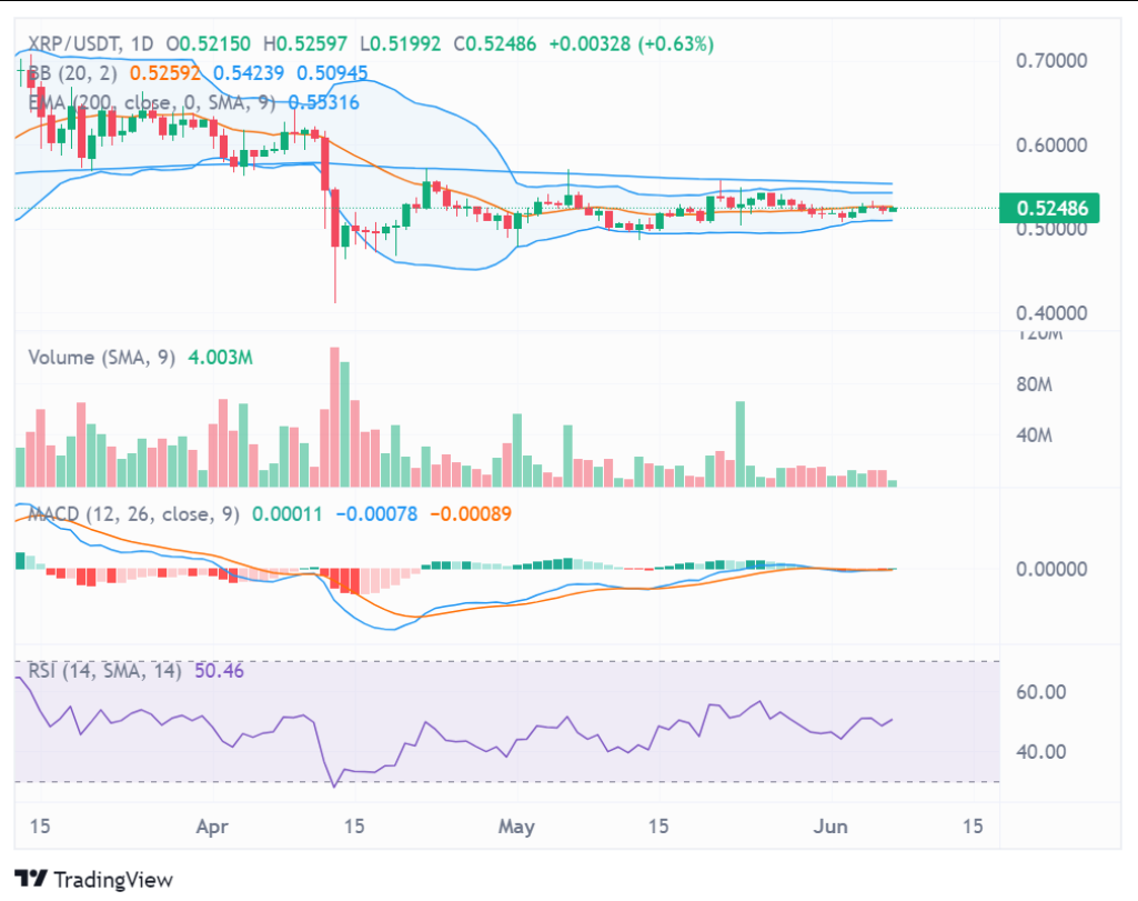 XRP Daily Chart. Source: TradingView