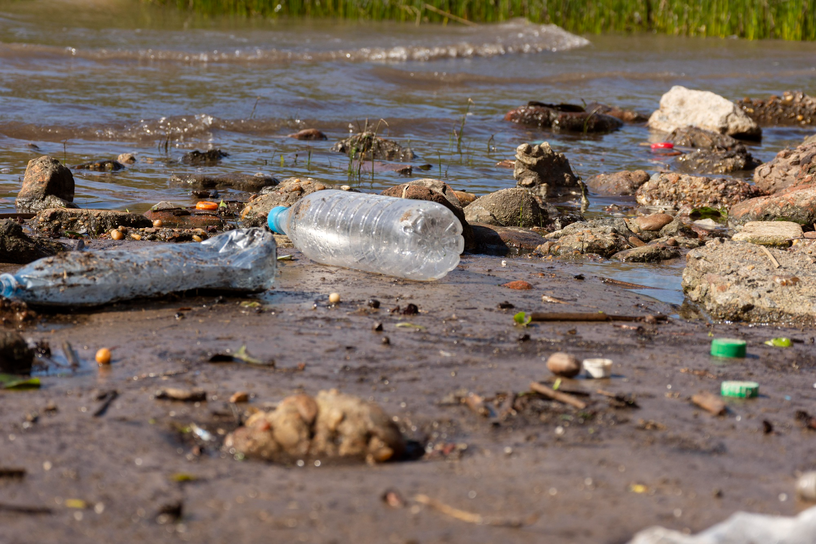 Contaminated water transmits typhoid