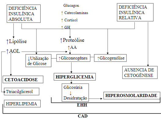 cetoacidose diabética