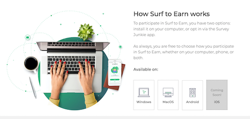 The Survey Junkie website showing a breakdown of how Surf to Earn works on your computer or on the app.