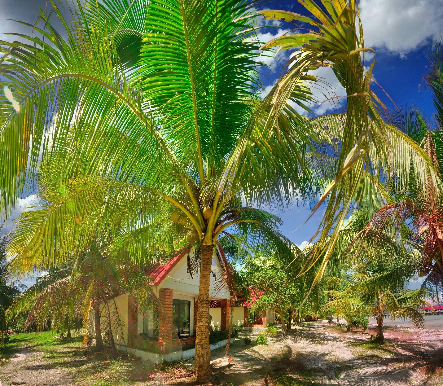 A bungalow at the beach