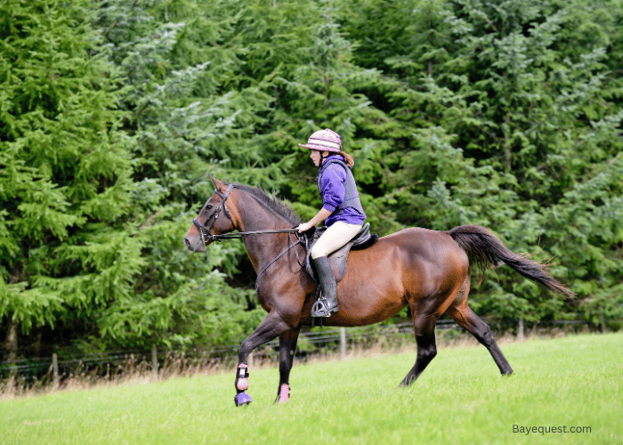 What is English Riding?