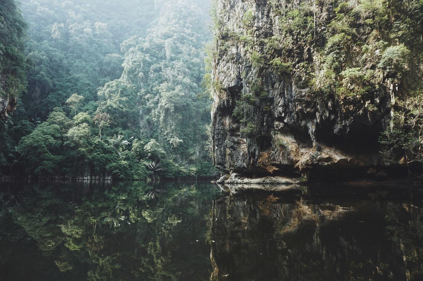 Lush forests overlooking a river