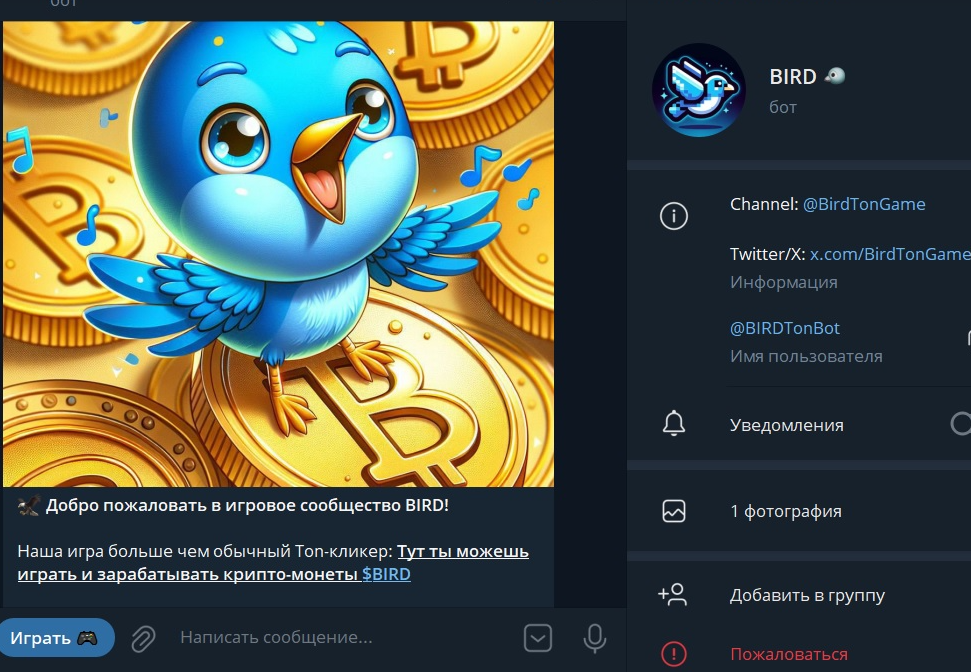BIRD  телеграм