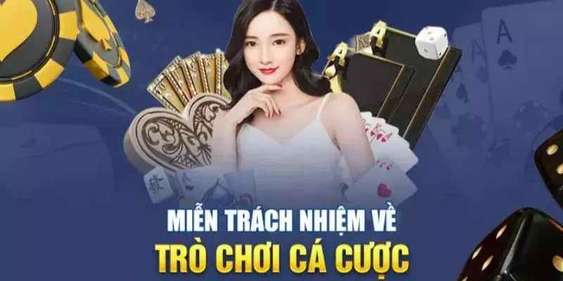 Trang không chịu trách nhiệm về rủi ro cá cược