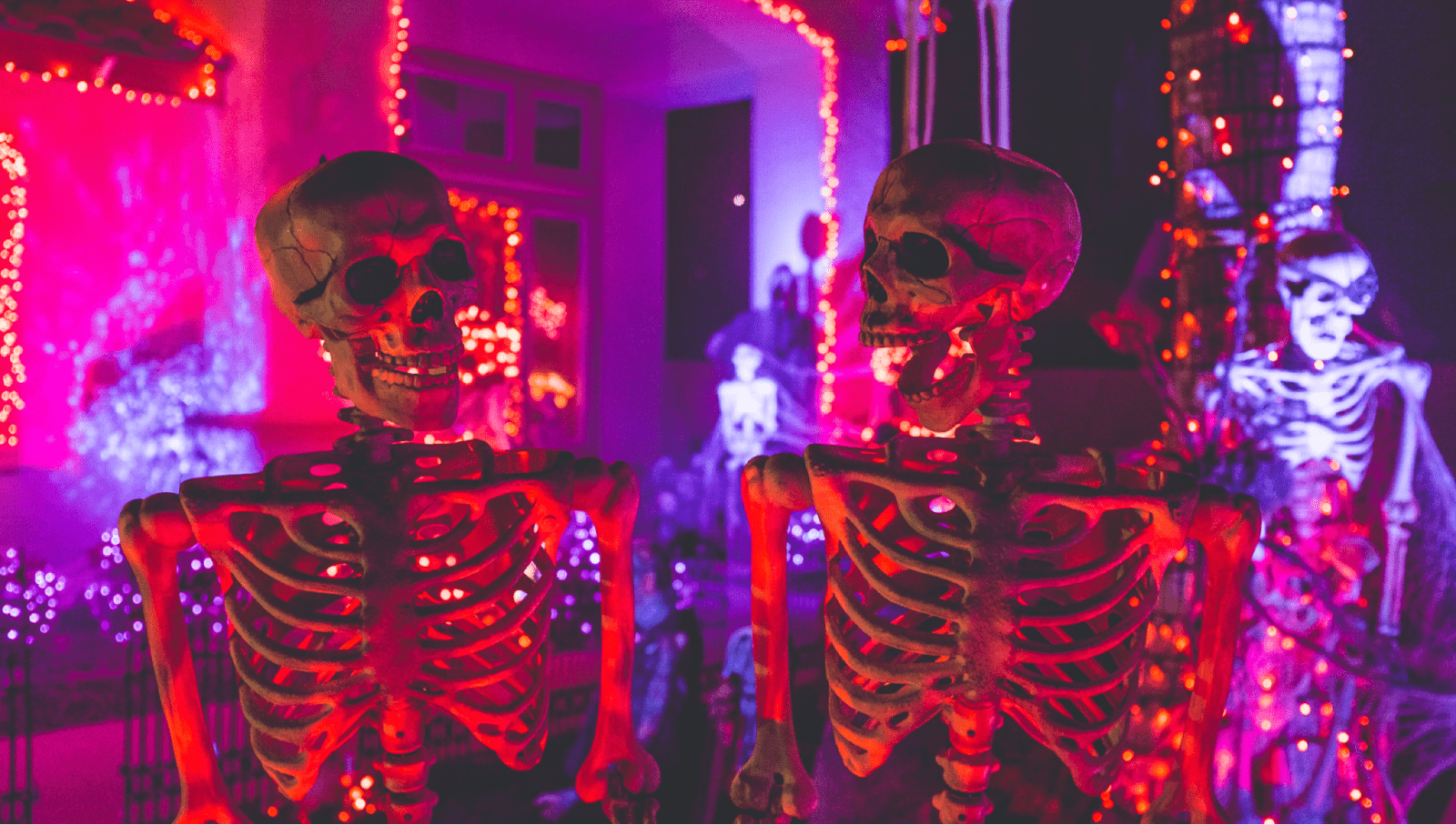 Close-up of skeleton decorations outside a property in the dark