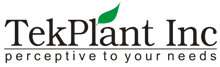 tekplant medical billing