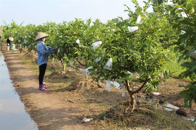 ngân hàng nào cho vay đất nông nghiệp