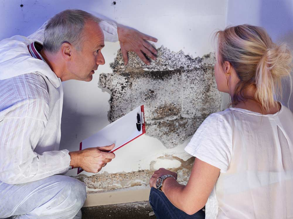 how to check for mold in your house