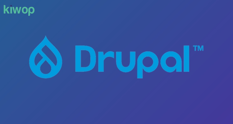 The Benefits of Using Drupal for Web Development | Kiwop