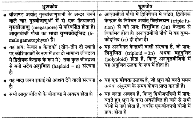 UP Board Solutions for Class 12 Biology Chapter 2 Sexual Reproduction in Flowering Plants 3Q.5