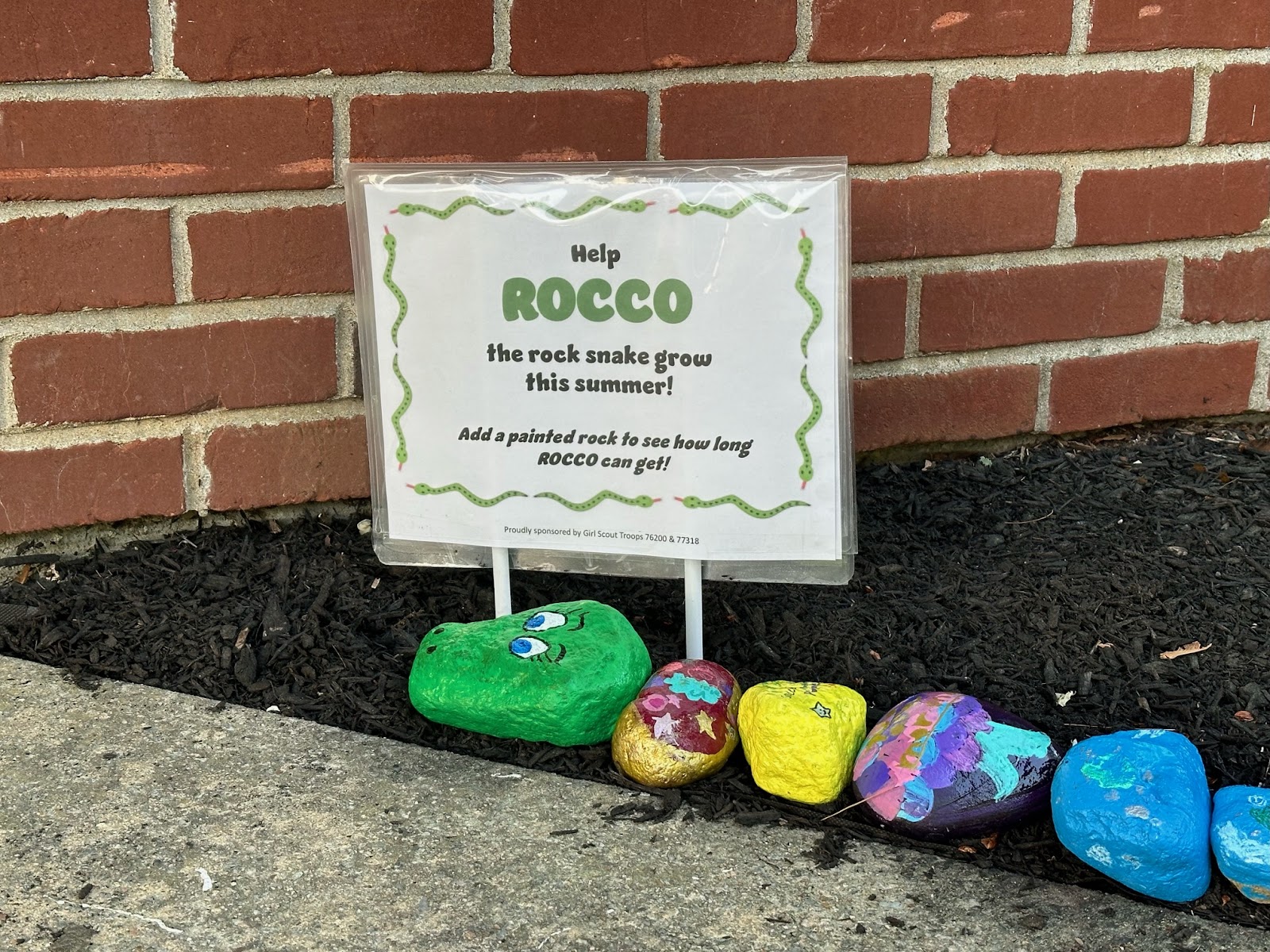 image of Rocco the rock snake outside of AES