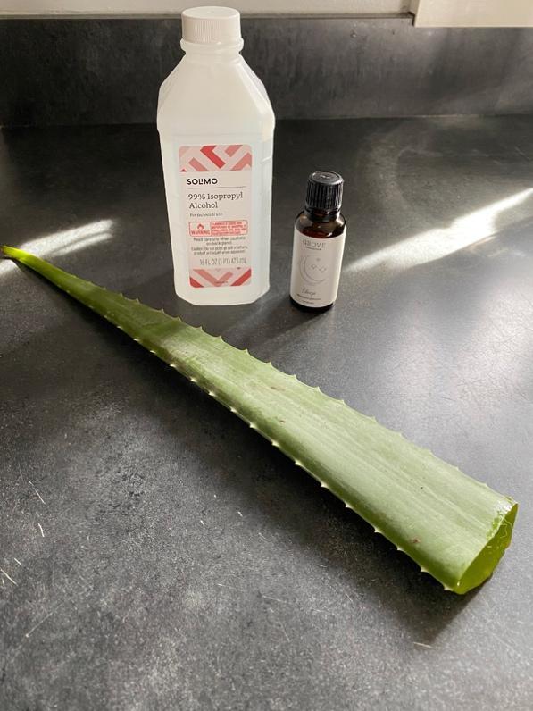 A aloe vera leaf and a bottle of liquid

Description automatically generated