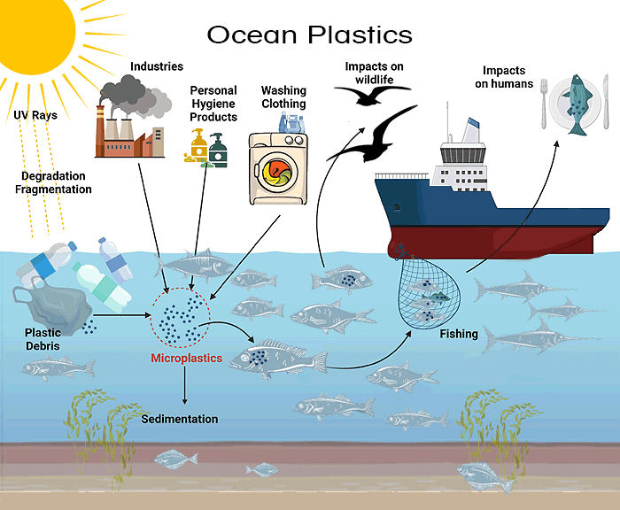 Ocean PlasticS