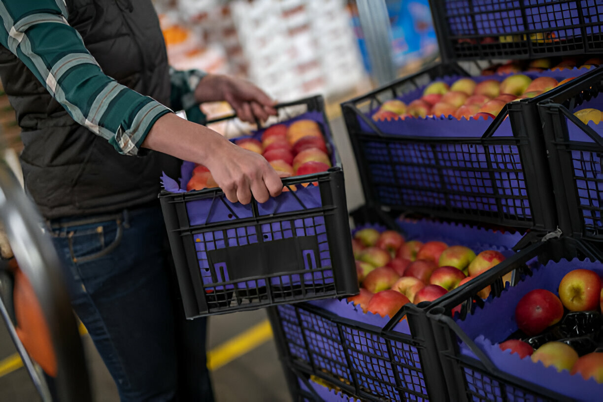 Dicas práticas para gerenciar alimentos frescos em seu hortifruti - Blog do Mercantil Atacado