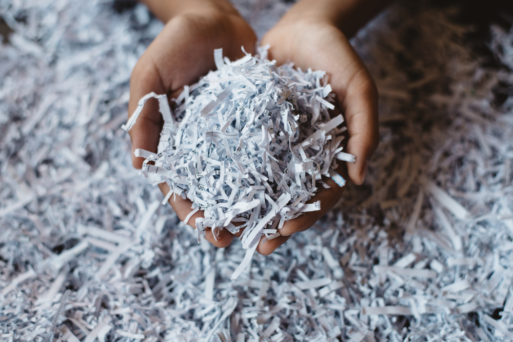 Recycled Paper Shreds