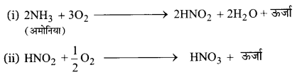 UP Board Solutions for Class 12 Biology Chapter 14 Ecosystem 3Q.3.1