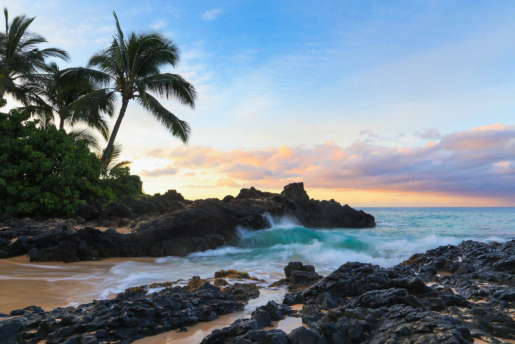 Palm trees and black rocks on a tropical island with waves crashing against the shore.