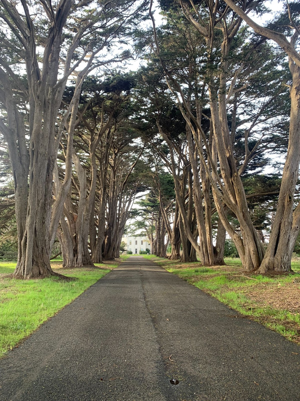 trip from point reyes from sf