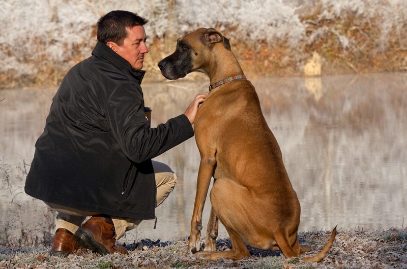 hombre con su perro gran danés junto al estanque