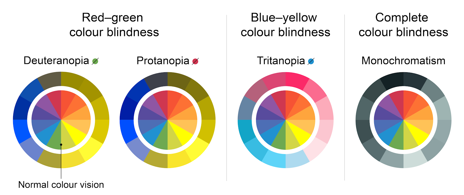 eye-colour-blindness-diagram (Source: https://www.healthdirect.gov.au/colour-blindness)