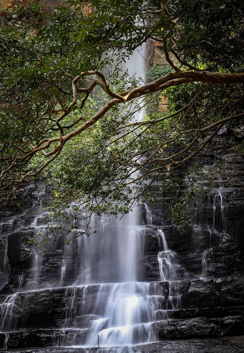 mallela theertham waterfall image