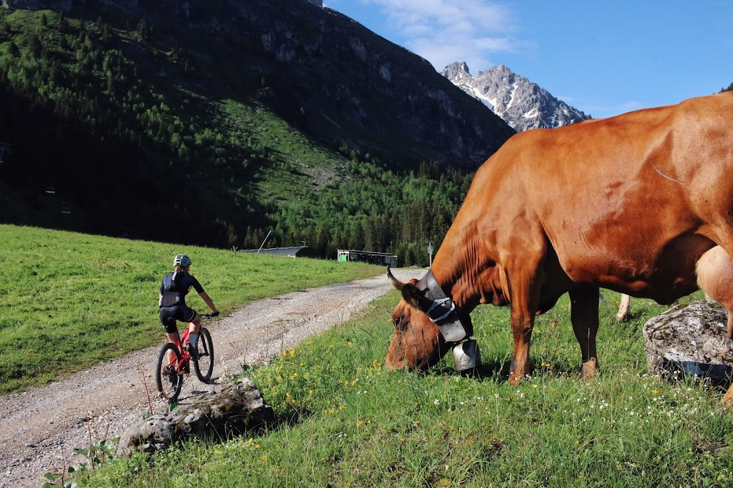 Courchevel MTB