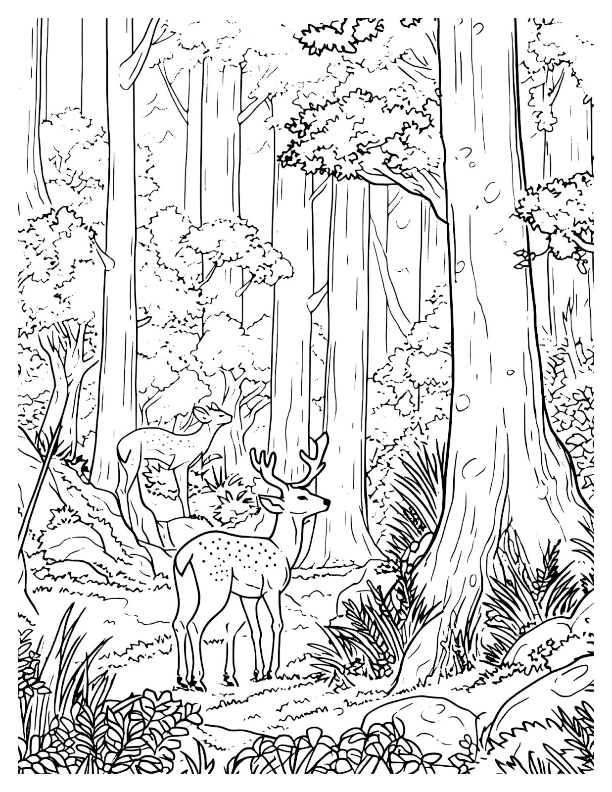 Deer Family In Dense Forest