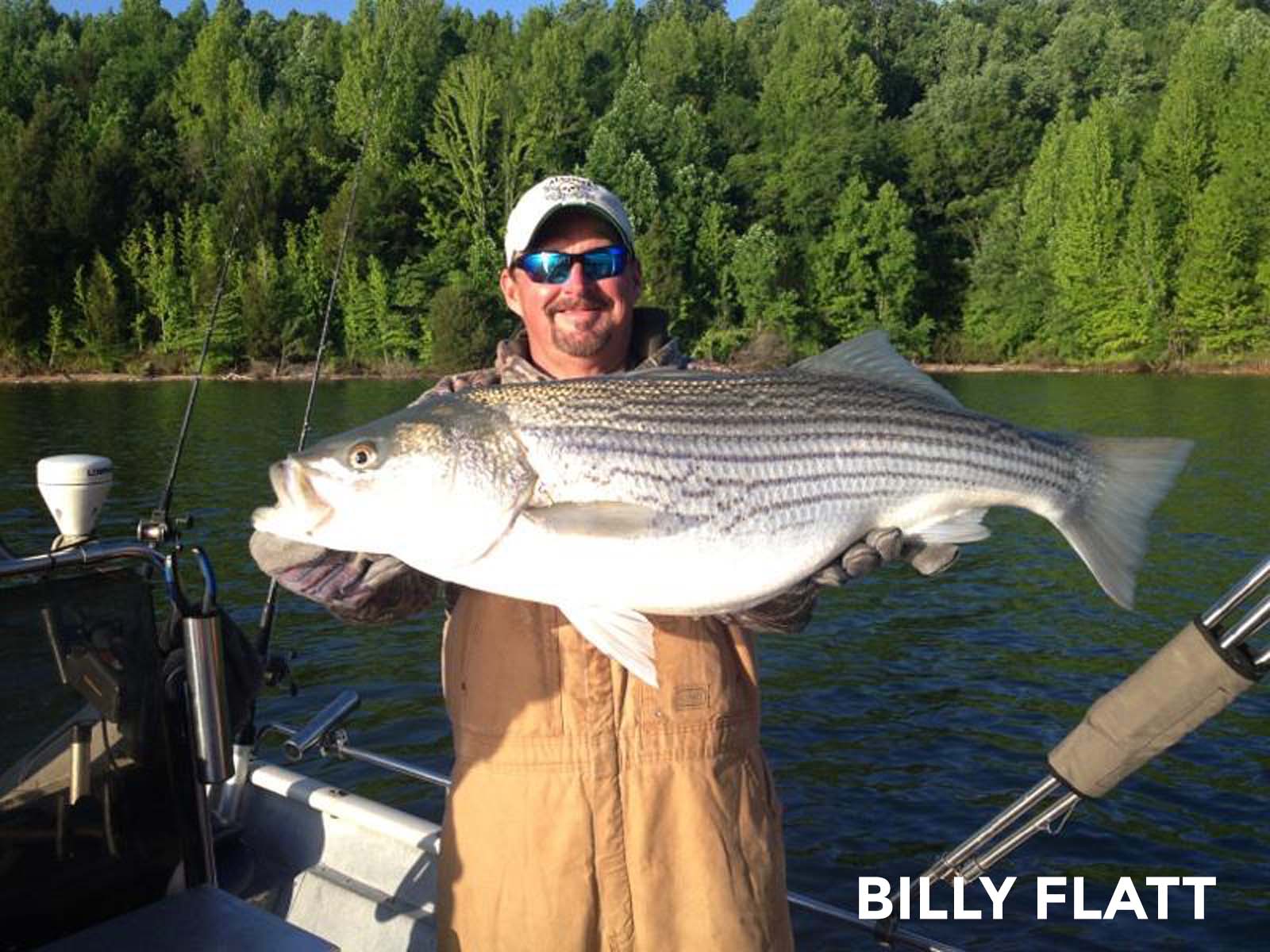 Percy Priest Lake Fishing: Reel in the Big Catch!