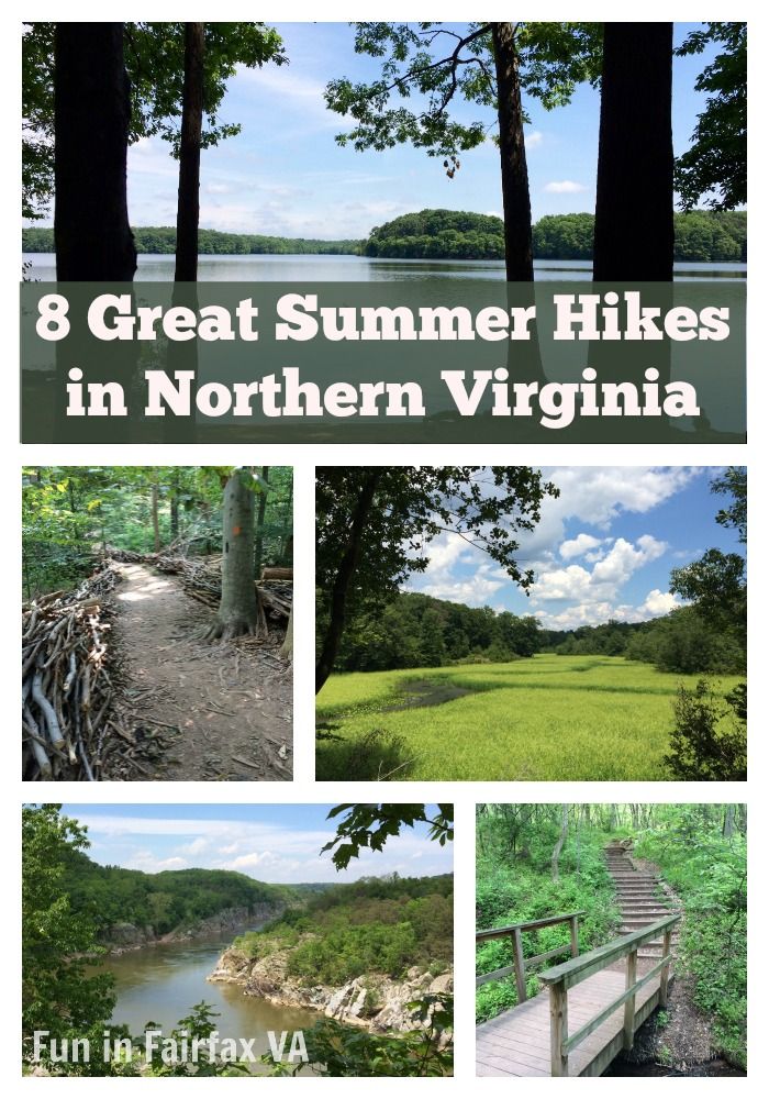 Hiking And Camping in Virginia: Discover Nature's Beauty