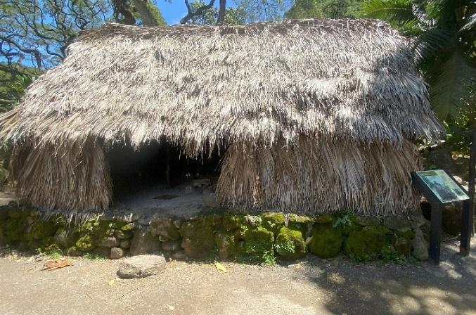 A thatched hut with a door open

Description automatically generated