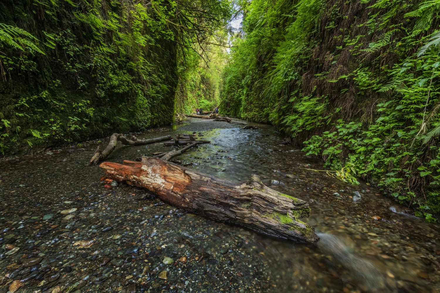 northern california road trip 