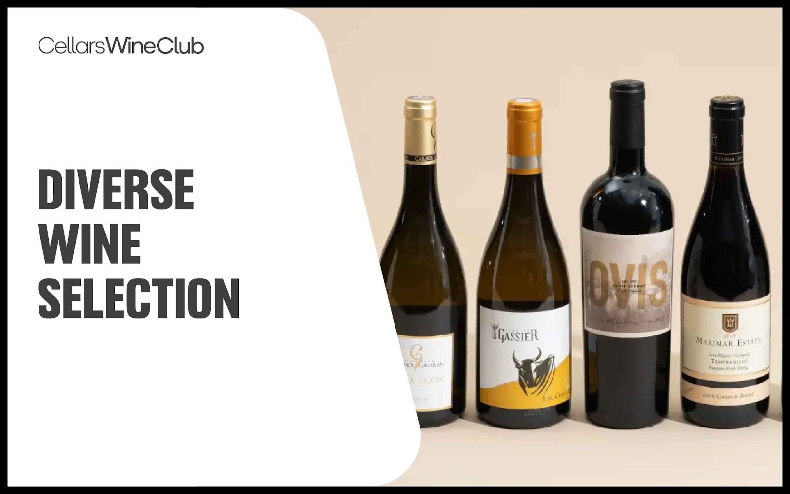 Cellars wine -best wine subscription
