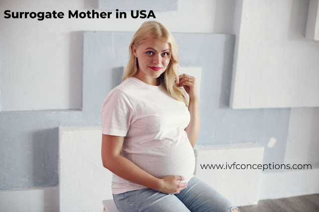 surrogate mother in usa