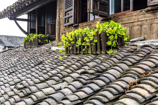 Transforming Your Home’s Exterior for a Better Quality of Life